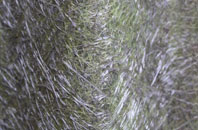 Donkey Street fibreglass roof work